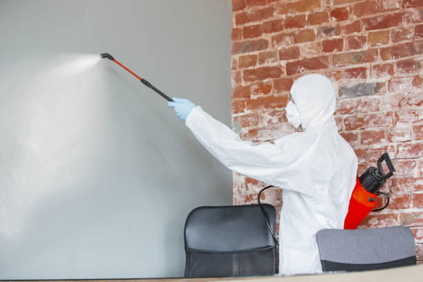 Mold Documentation for Insurance Claims in North Highlands, CA