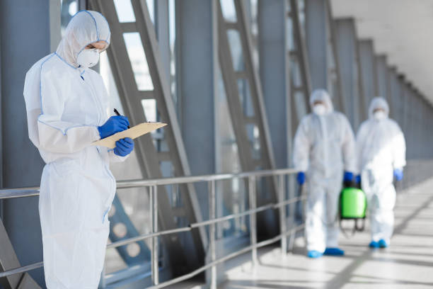 Reliable North Highlands, CA Mold Removal Solutions
